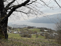 Vue sur le lac